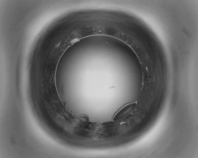 X0000113150143200909041242