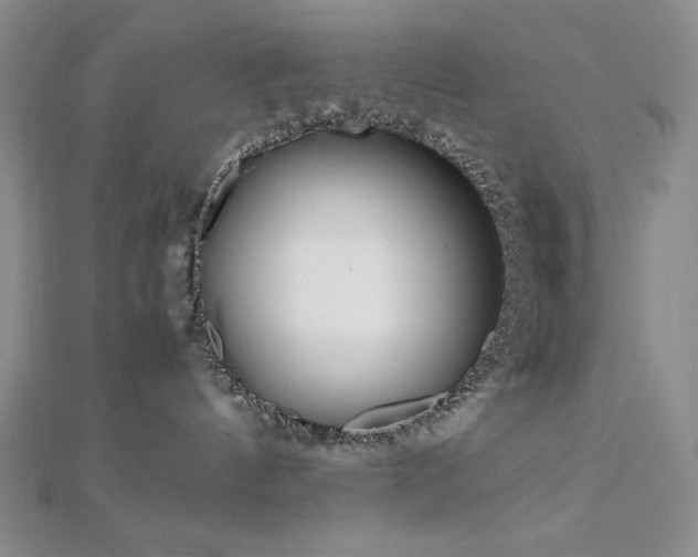 X0000113150144200909041242