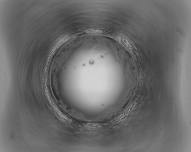 X0000113150145200909041241