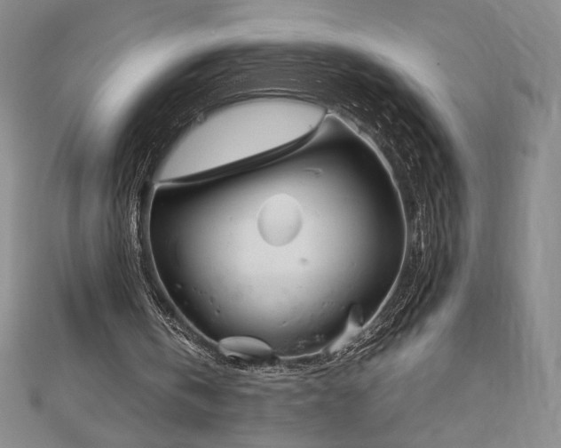 X0000113150146200909041241