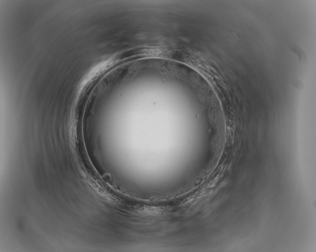 X0000113150149200909041241