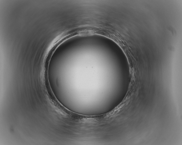 X0000113150150200909041241