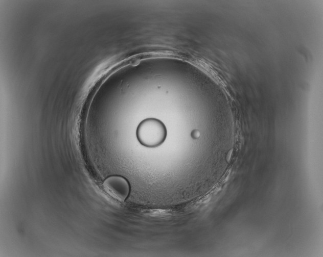 X0000113150151200909041241