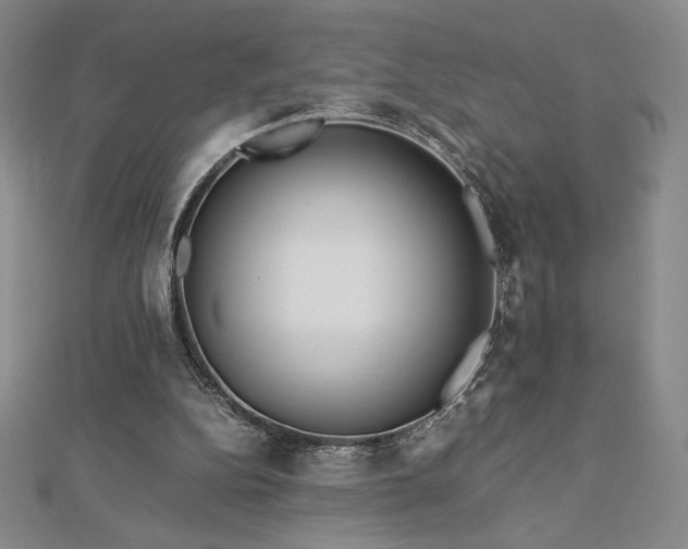 X0000113150152200909041241