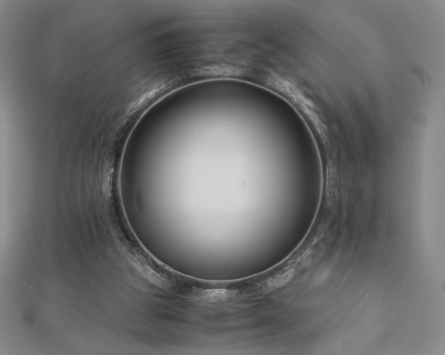 X0000113150153200909041241