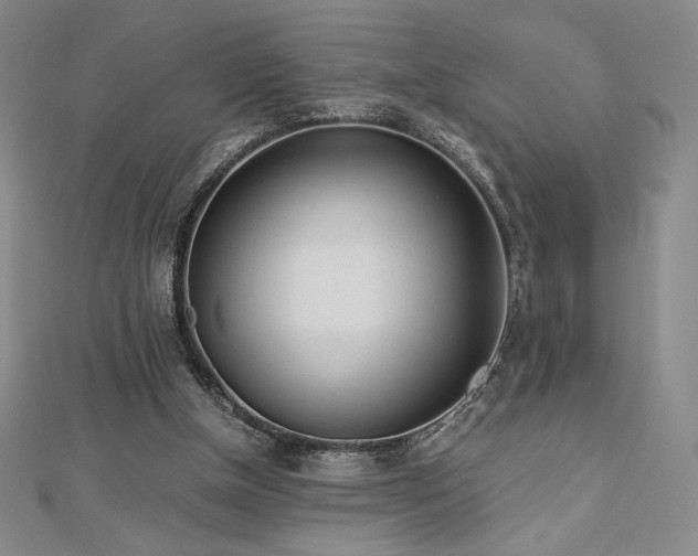 X0000113150154200909041241