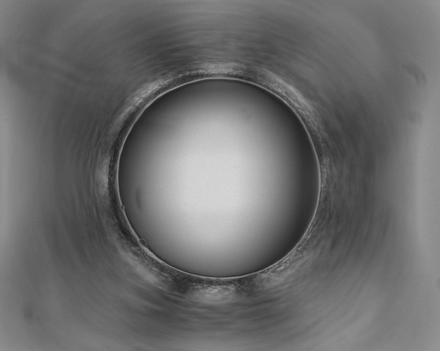 X0000113150155200909041241