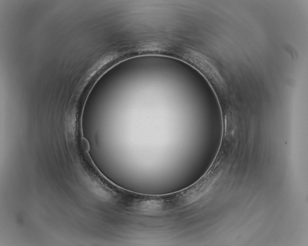 X0000113150156200909041241