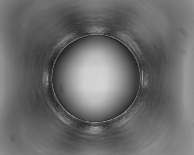 X0000113150157200909041241