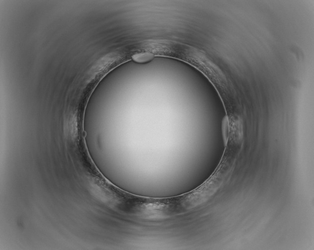 X0000113150158200909041241