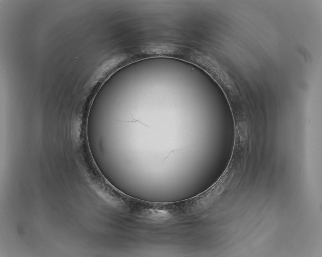 X0000113150159200909041241