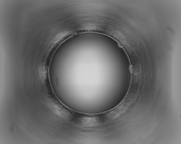 X0000113150160200909041241