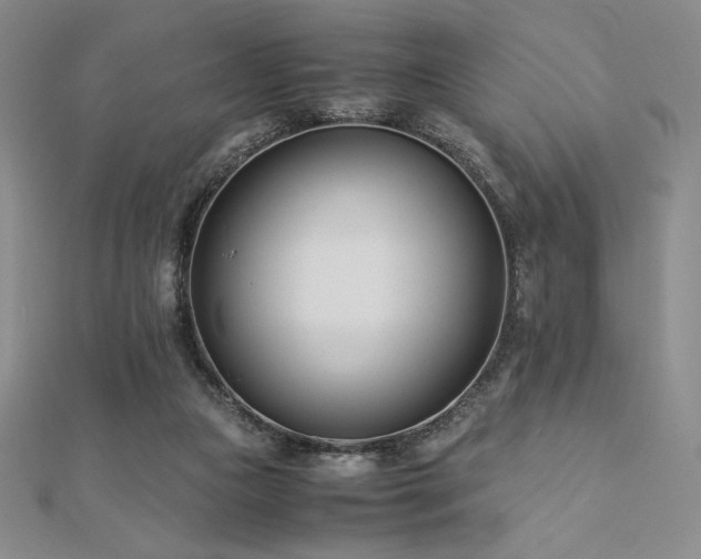 X0000113150161200909041241