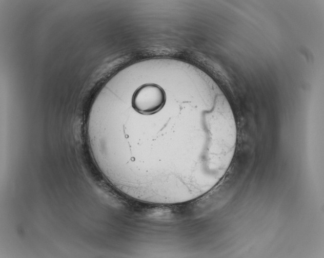 X0000113150162200909041241