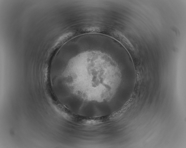 X0000113150163200909041241