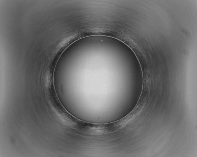 X0000113150164200909041241