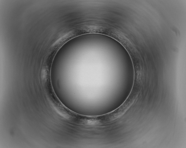 X0000113150165200909041241