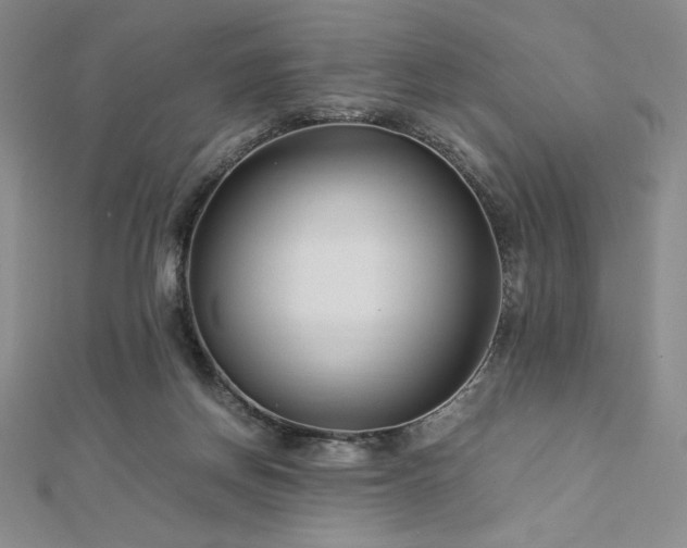 X0000113150166200909041241