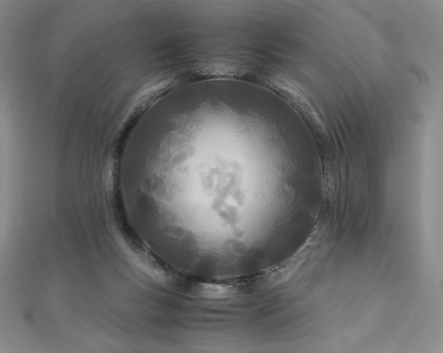 X0000113150167200909041241