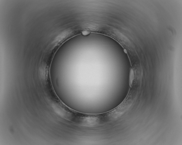 X0000113150168200909041241