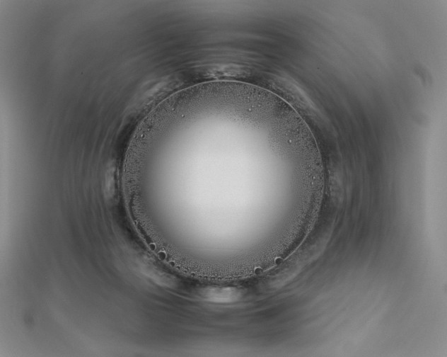 X0000113150169200909041241