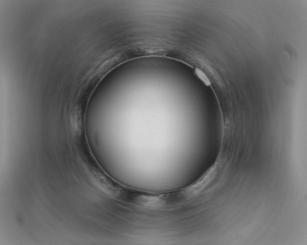 X0000113150170200909041241