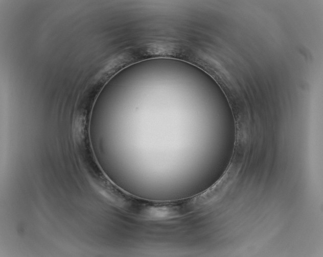 X0000113150171200909041241