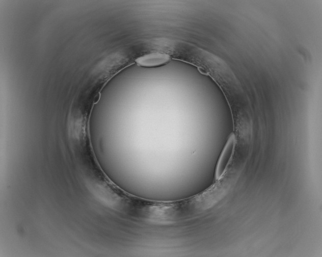 X0000113150172200909041241