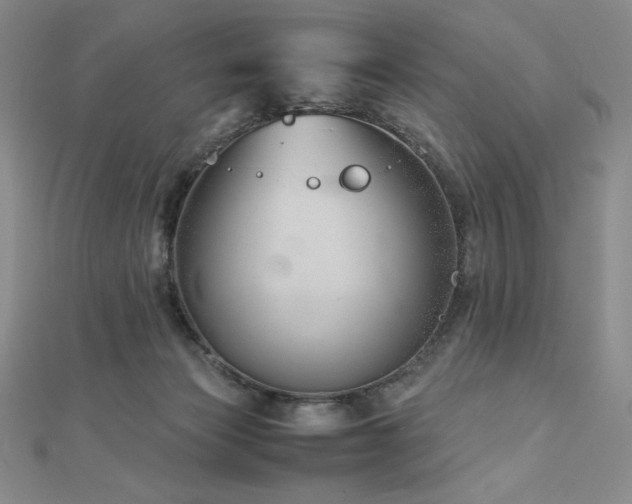 X0000113150173200909041241