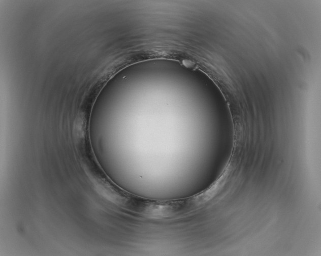 X0000113150174200909041241