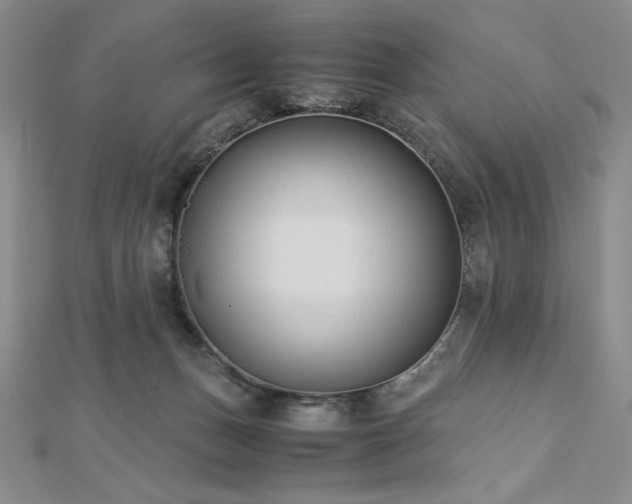 X0000113150175200909041241