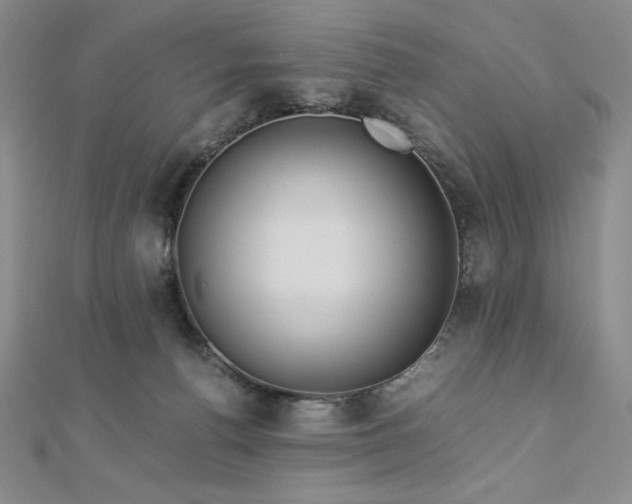 X0000113150176200909041241