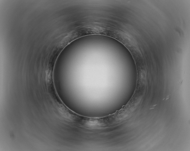 X0000113150177200909041241