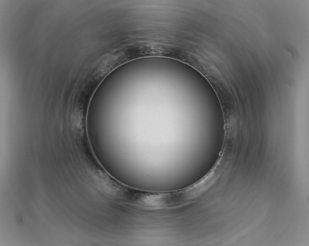 X0000113150178200909041241