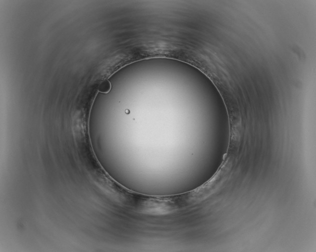 X0000113150179200909041241