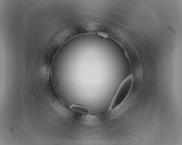 X0000113150180200909041241