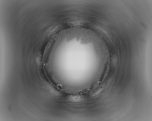 X0000113150181200909041241