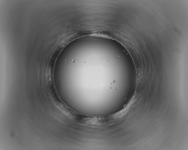 X0000113150182200909041241