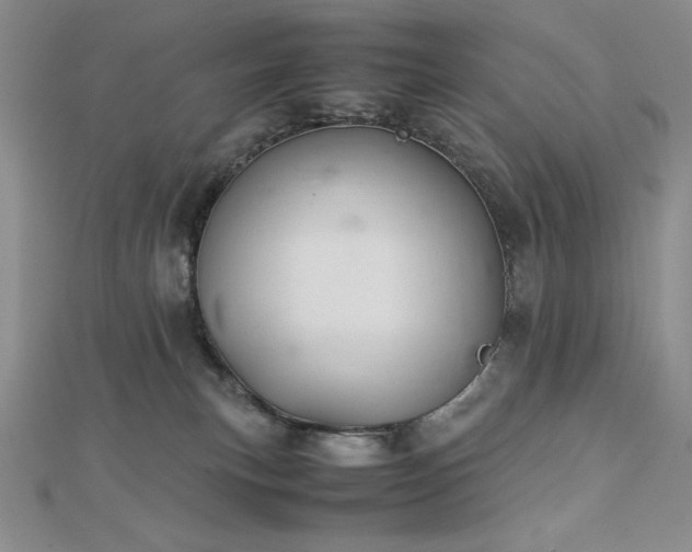 X0000113150183200909041241