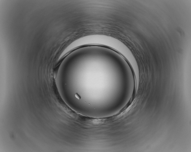 X0000113150184200909041241