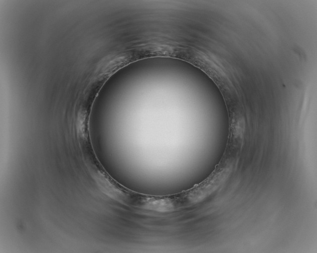 X0000113150185200909041241