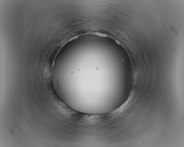 X0000113150186200909041241