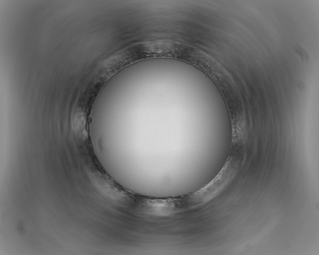 X0000113150187200909041241