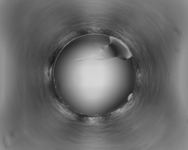 X0000113150188200909041242