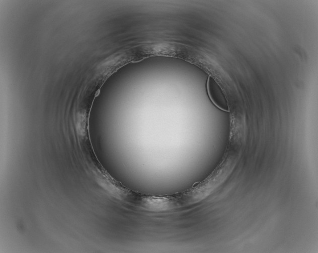 X0000113150189200909041242