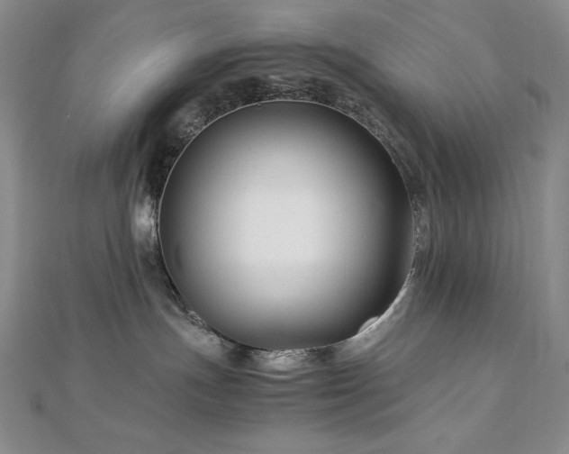 X0000113150191200909041242