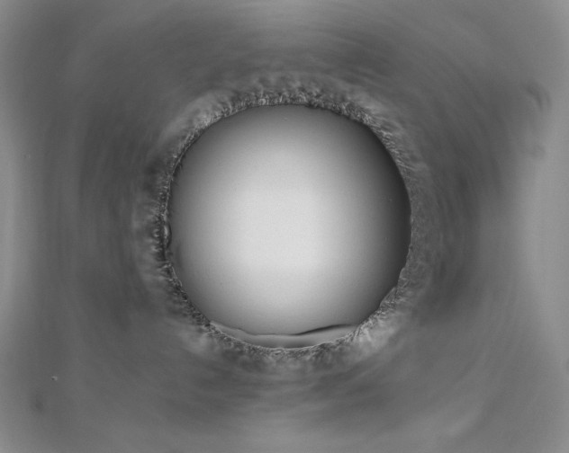 X0000113150192200909041242