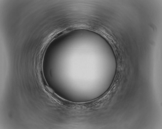 X0000113150193200909041241