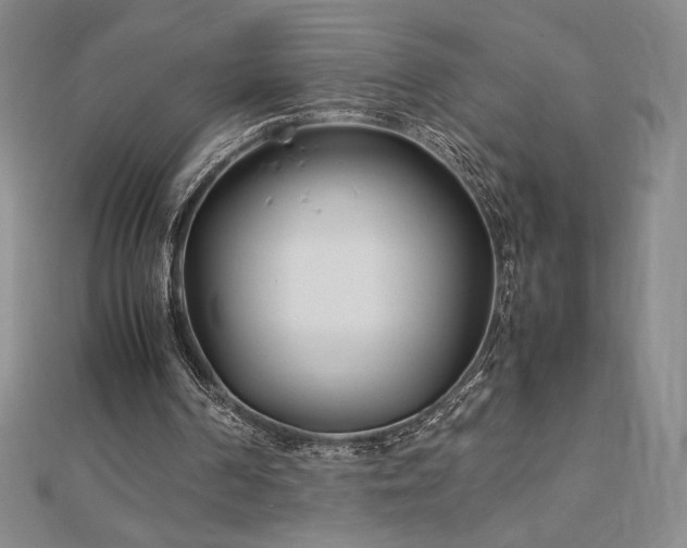 X0000113150194200909041241