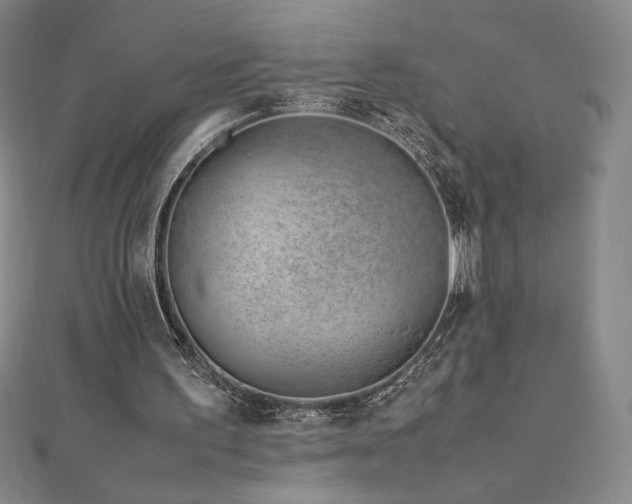 X0000113150195200909041241